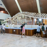 5D4N Sutera Harbour Resort with Sutera@Mantanani Island Stay
