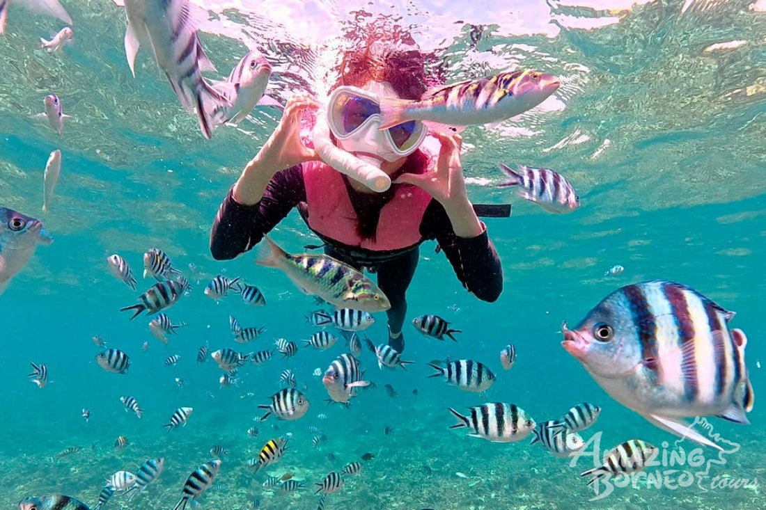 The One Mantanani Water Villa Day Trip