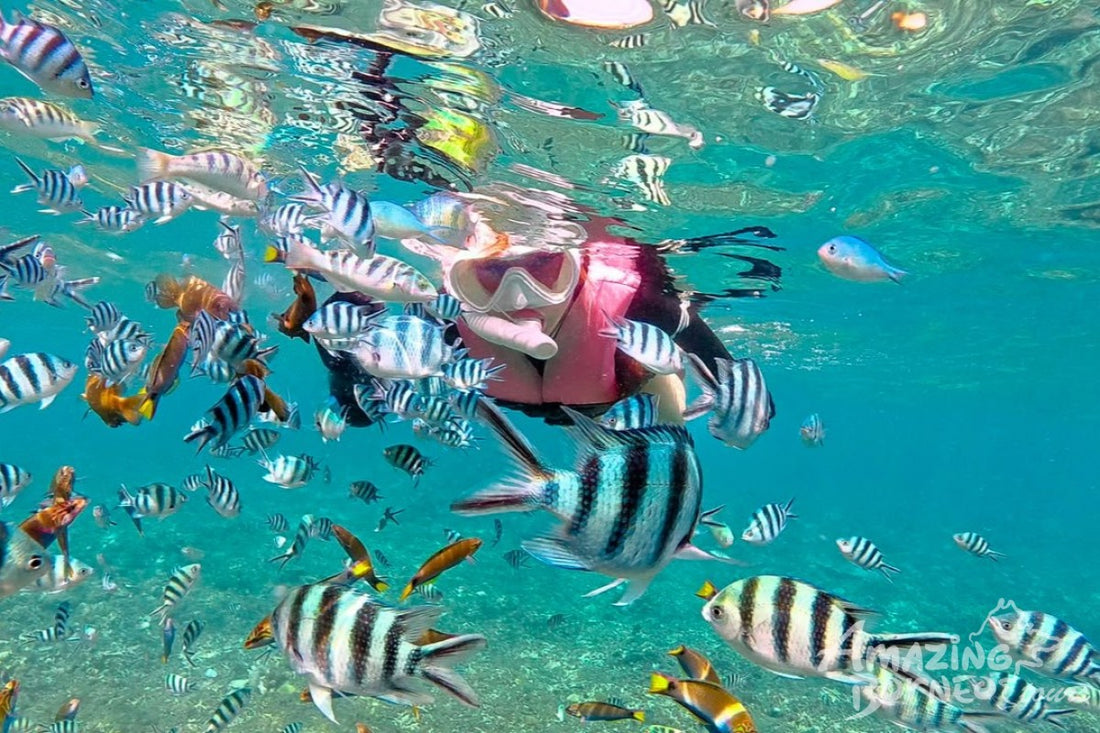 The One Mantanani Water Villa Day Trip
