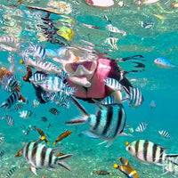 The One Mantanani Water Villa Day Trip