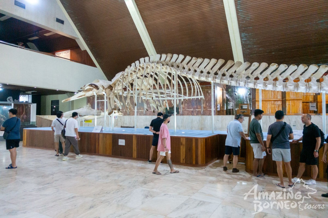 5D4N Sutera Harbour Resort with Sutera@Mantanani Island Stay