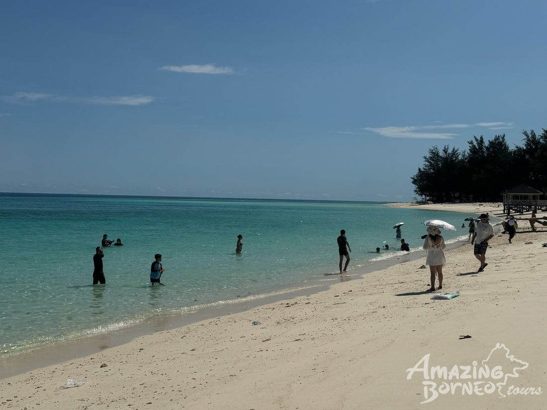 Mantanani Snorkeling Day Trip