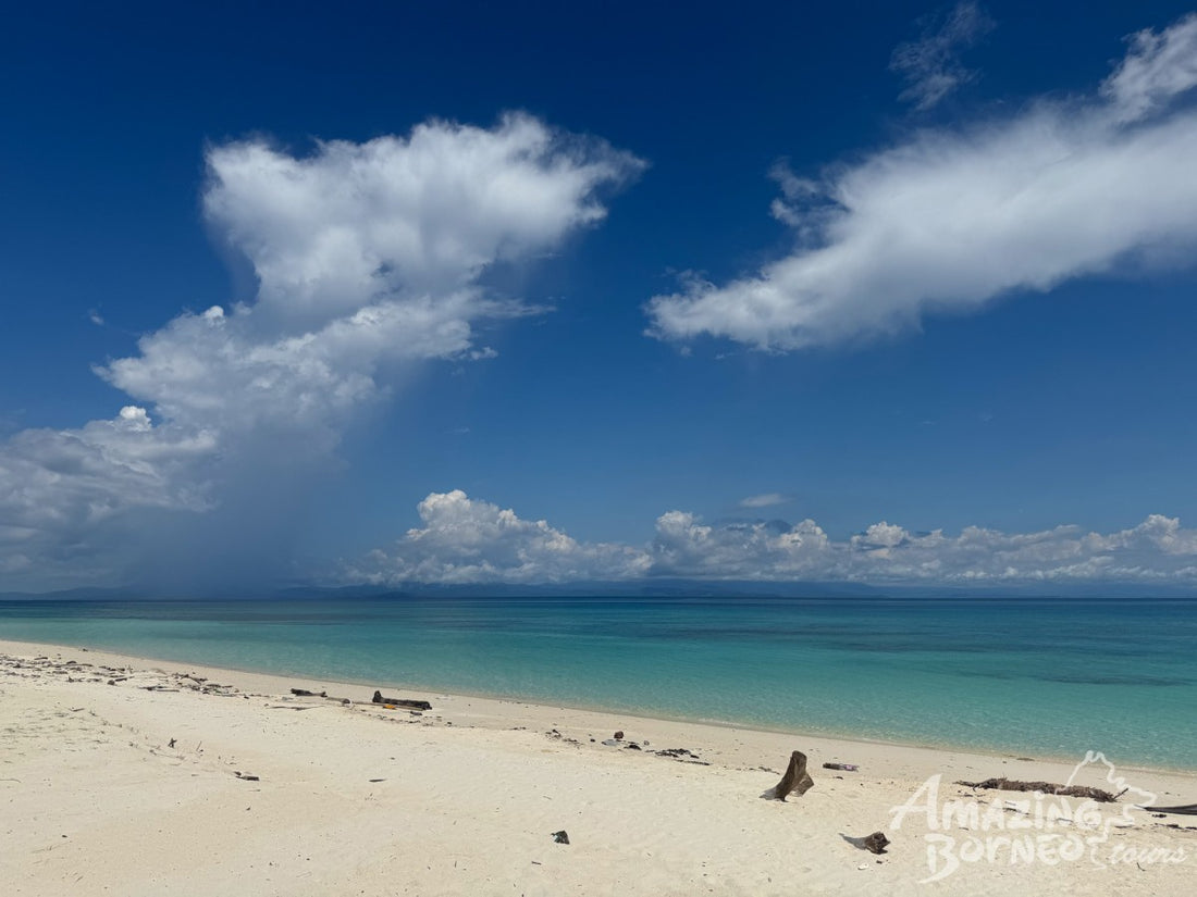Mantanani Snorkeling Day Trip